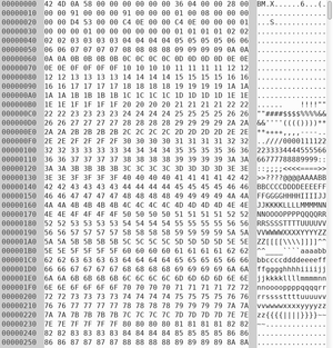 Top of 1.bmp viewed in hex editor Image