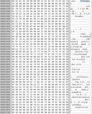 1.exe in hex editor showing the embedded string Image